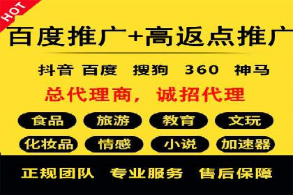 谷歌竞价广告的投放策略与成功案例分析